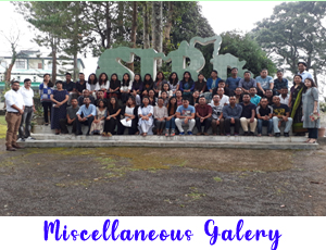 Miscellaneous Gallery