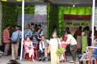 Participation at the Festival